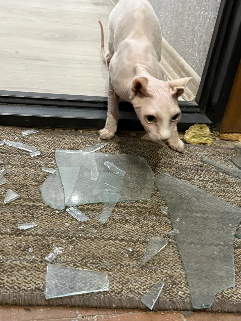 Російський дрон вибухнув за двісті метрів від будинку голови НСЖУ