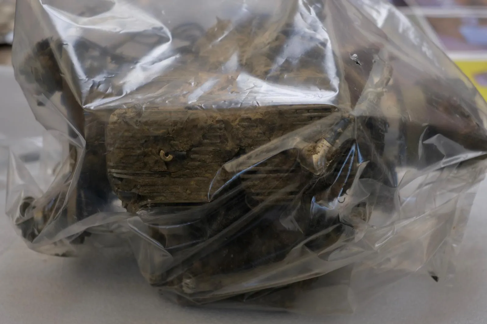 Румунія викликала посла рф через падіння російського дрона