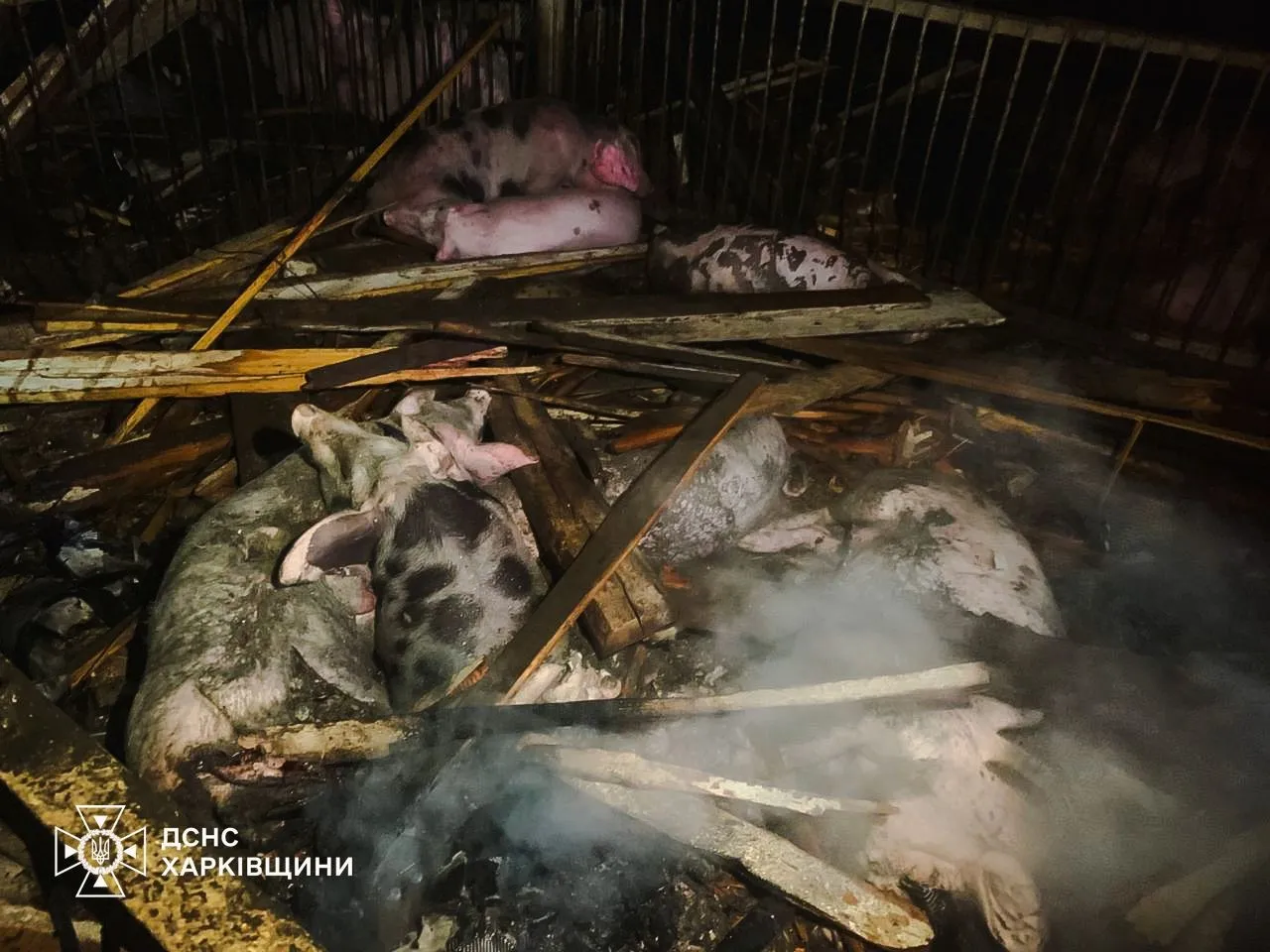 Удар дронів по агропідприємству на Харківщині