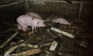 У ЗСУ повідомили, звідки росія  атакувала Київ