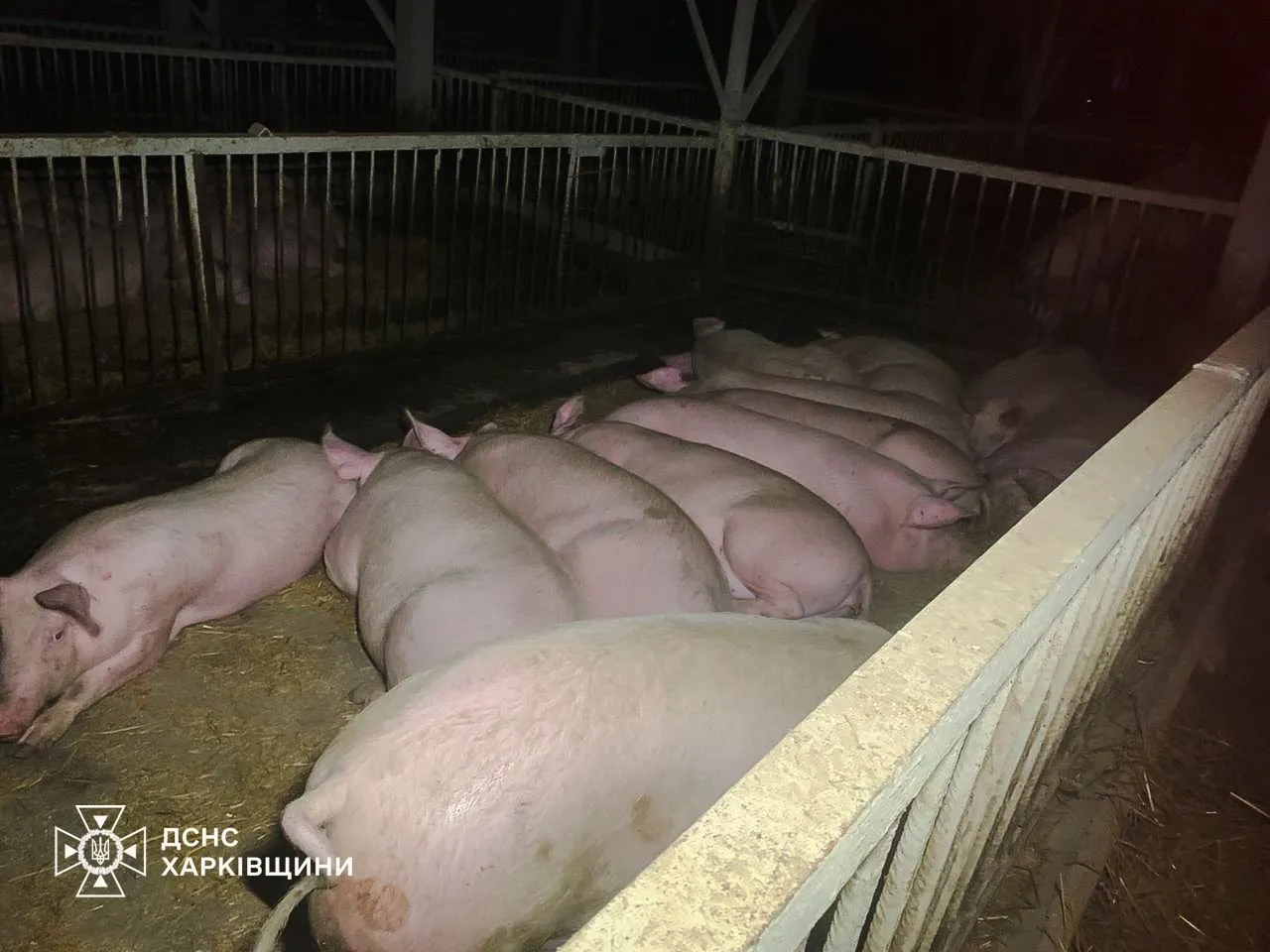 Удар дронів по агропідприємству на Харківщині