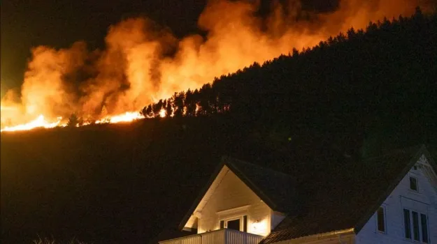 У норвезькому місті евакуювали понад 300 людей через лісову пожежу