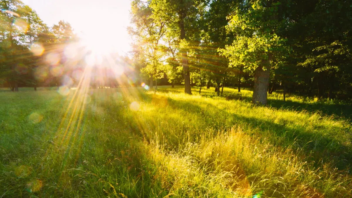 Погода в Україні 9 березня: березневе тепло та сонце
