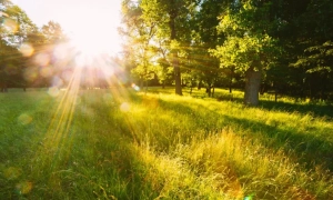 Фото: Буча перетворилася на кладовище знищеної техніки агресора