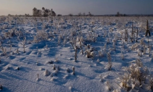 Синоптики оголосили по всій Україні штормове попередження