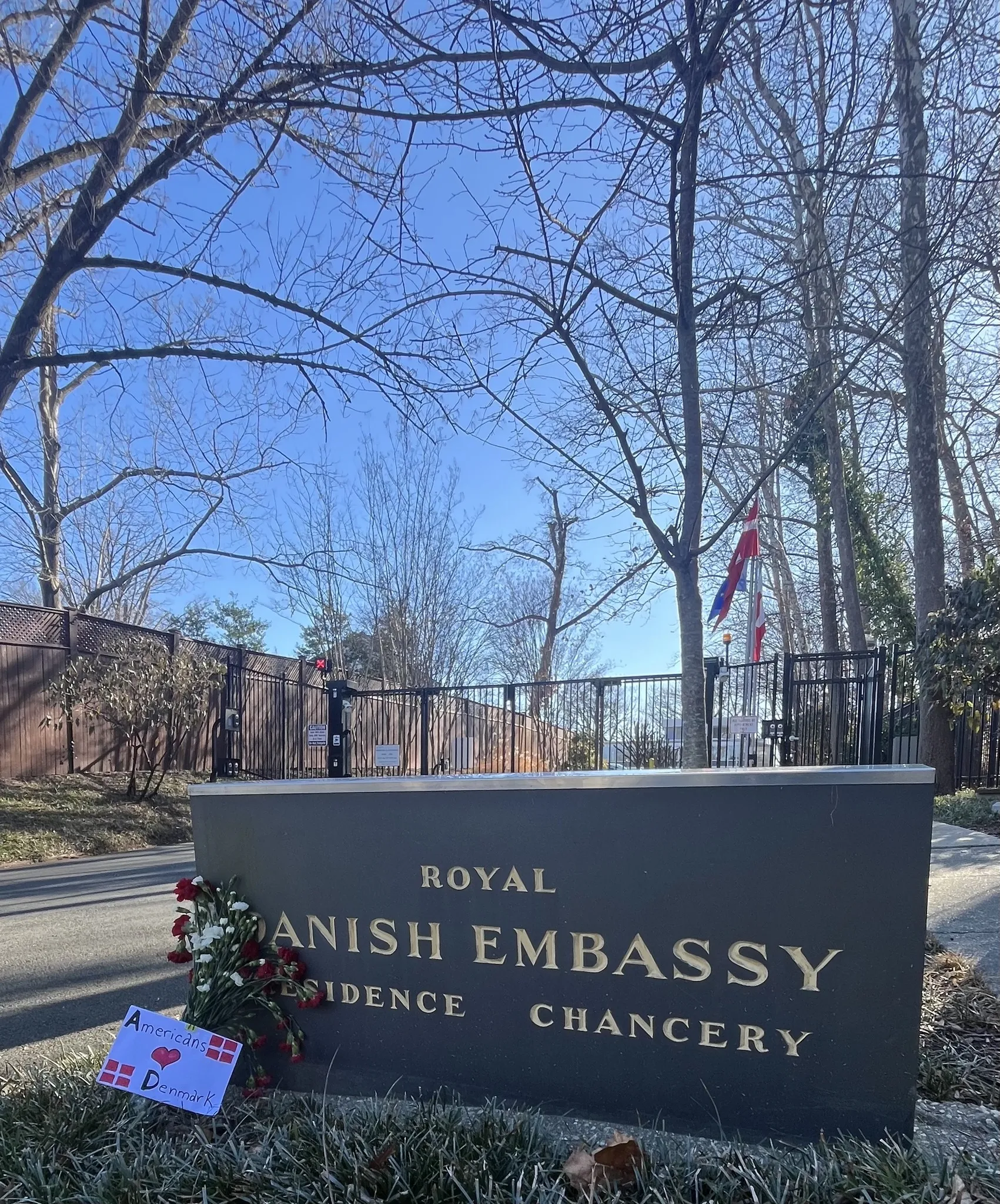 Американці підтримали Данію після заяв президента США про Гренландію