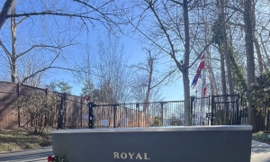 У Британії дозволили тестування косметики на тваринах