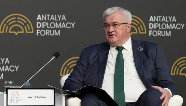 На світовій арені вже існує певна конкуренція за увагу України — Сибіга