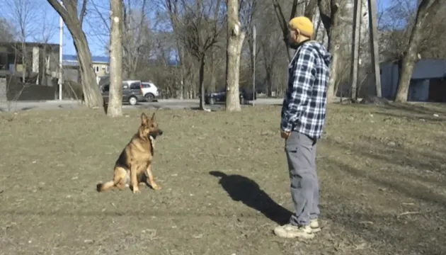 A unique surgery was performed in Dnipro to repair the jaw of a military dog following a Russian missile strike