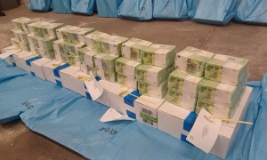 Фінляндія буде приймати українських біженців із Естонії