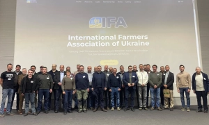 Українці визначилися, коли проводити вибори після війни