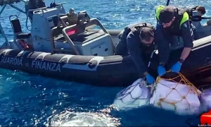 Берлін у захваті від наступу ЗСУ - посол Німеччини