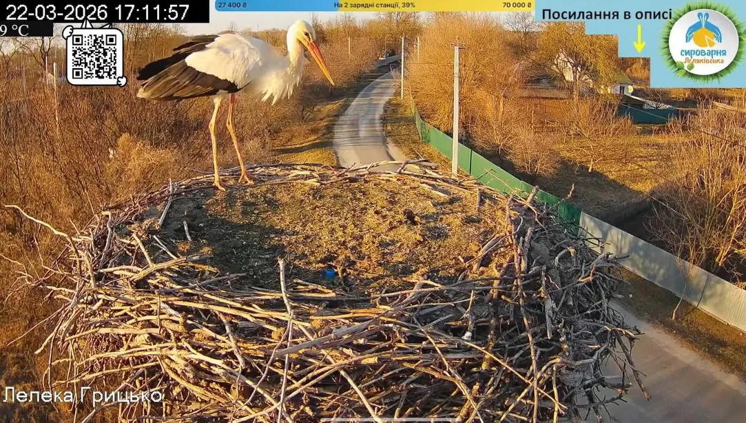 До національного парку «Пирятинський» прилетів перший лелека