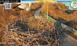 «Укрзалізниця» попереджає про масові затримки поїздів на Полтавщині