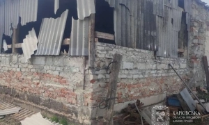 Ракеты «Фламинго» поразили полигон запуска «Орёшника» в РФ