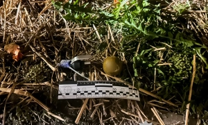 В уряді уточнили, чи заборонять продаж алкоголю під час локдауну