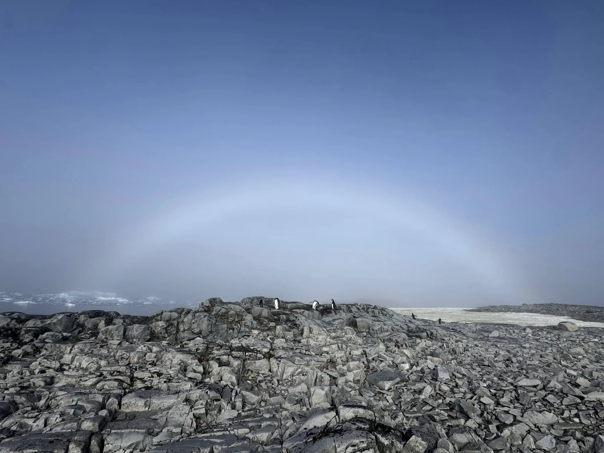 Українські полярники зафіксували рідкісну білу веселку в Антарктиці