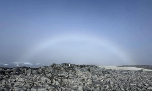Естонія закриє більшість інформаційних пунктів для біженців до травня