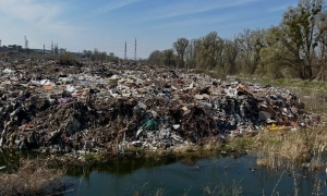 Нацгвардійці на Донбасі затримали бойовика «Л/ДНР»