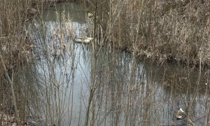 «Омікрон»: Україна вводить самоізоляцію для приїжджих, кого це торкнеться