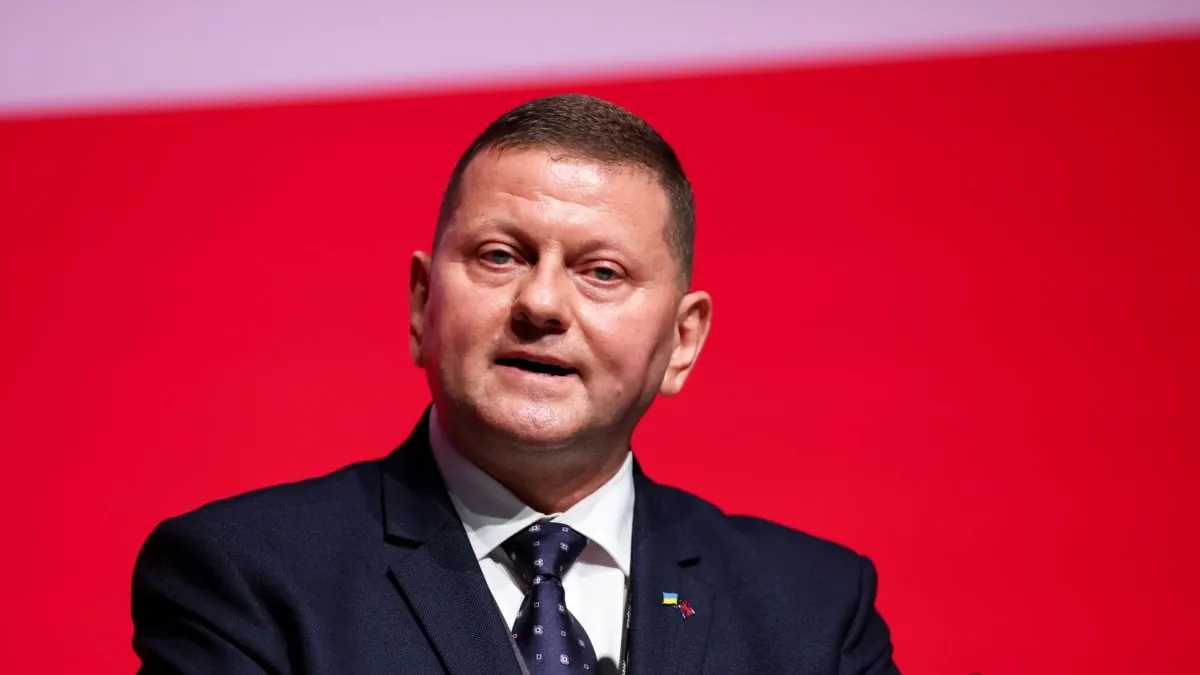 Залужний прокоментував звинувачення у підриві «Північних потоків»