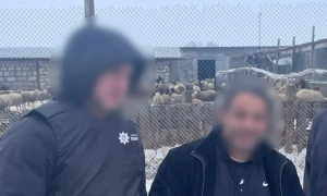 Комітет Ради скасував засідання з питання продовження розгляду мобілізації