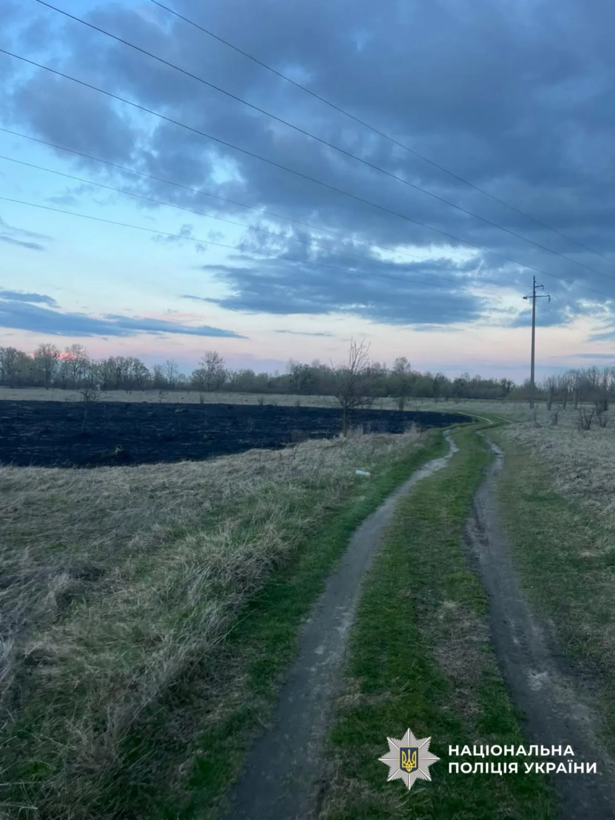 На Вишгородщині 19-річний юнак запустив феєрверк та спричинив пожежу