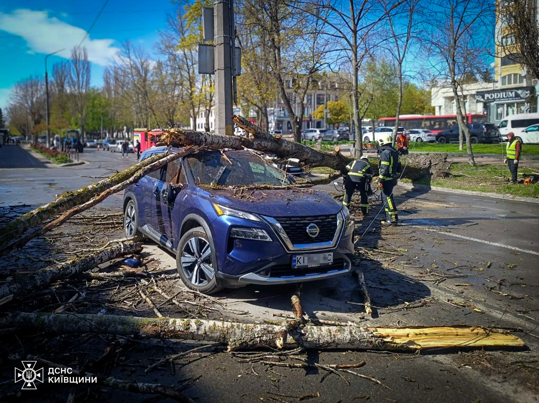 Потужний вітер повалив дерева та заблокував автошляхи у чотирьох областях України