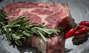 Часть помещений Чернобыльской АЭС сдадут в аренду