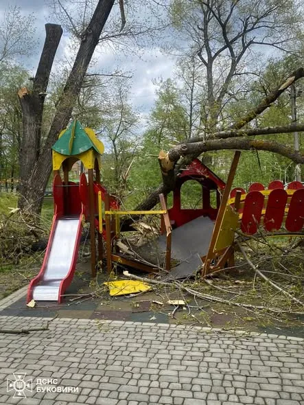 На Буковині дерева впали на дитячий майданчик