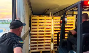 Председатель Рады созывает внеочередное пленарное заседание: что будут рассматривать