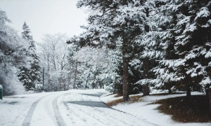 «Укрзалізниця» відновила міжнародне сполучення зі Словаччиною