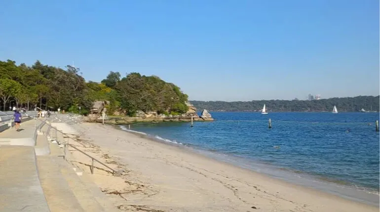 Акула атакувала 12-річного хлопчика на пляжі Сіднея — The Guardian