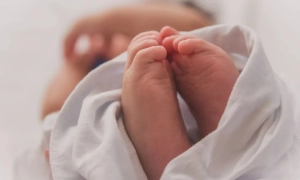 На Донеччині врятували собаку, яка місяць був заблокована у зруйнованому будинку