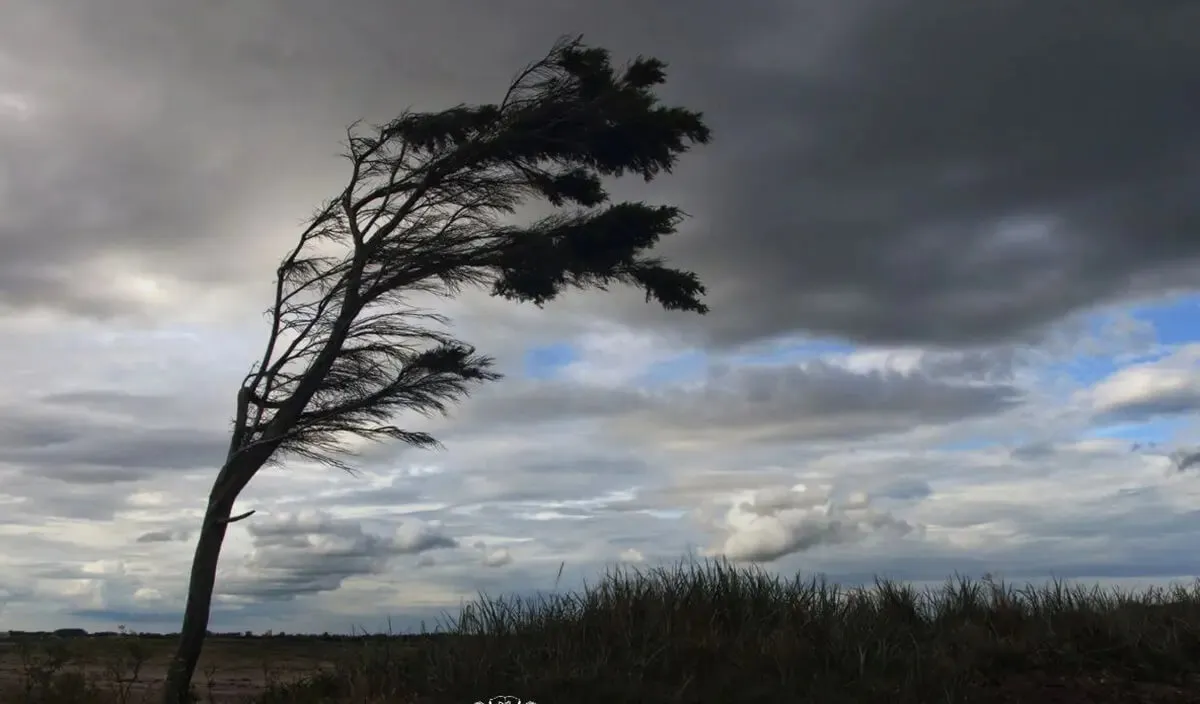 У Львові оголосили жовтий рівень небезпеки через штормовий вітер
