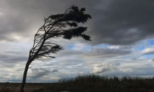 Фото: СБУ провела обшуки у лідерів Компартії України