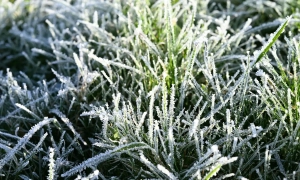 Тарас Цимбалюк проводить час з акторкою Оленою Світлицькою