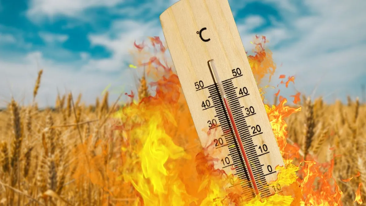 ЄС радять готуватися до ризиків через потепління на приблизно 3 градуси до кінця століття