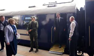 В Великобритании будут голосовать за новые банкноты с изображением животных вместо купюр с Черчиллем