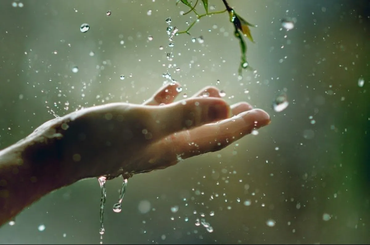 Погода в Україні 31 березня: березень завершується дощами та аномальним теплом