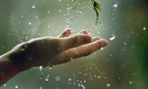 Україна вдвічі скоротила залізничне сполучення з Росією