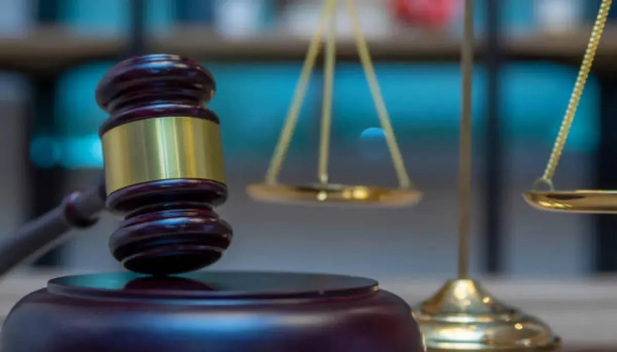 Спецпрокуратура повернула державі понад 8 тисяч гектарів земель