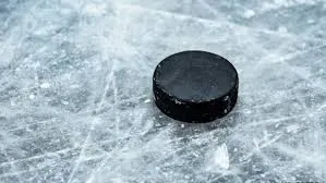 Жіноча збірна України з хокею розгромила Нову Зеландію на чемпіонаті світу