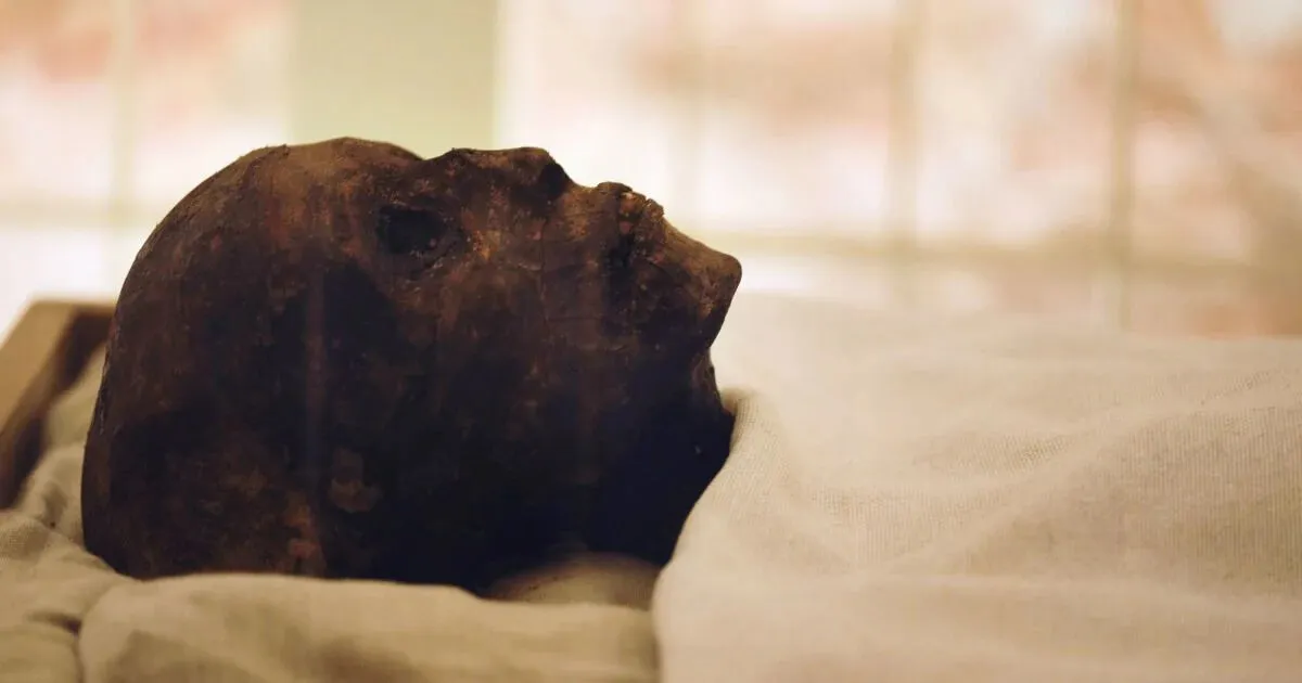 Вчені зазирнули всередину мумій за допомогою КТ — Science Alert