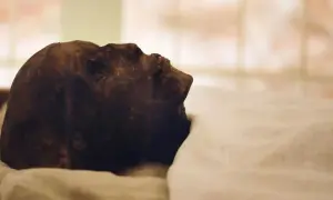 Вчені зазирнули всередину мумій за допомогою КТ — Science Alert