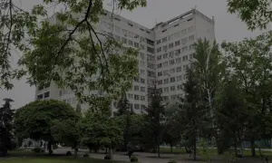 Київ оголосив тендер на ремонт мосту Метро за понад 2 млрд гривень