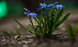 Україна не виконала одну з вимог отримання 50 млрд євро західної допомоги