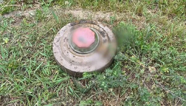 Польща виходить з Оттавської конвенції про заборону мін задля зміцнення безпеки