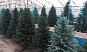 Зеленський доручив РНБО підготуватись до переговорів у Брюсселі та США