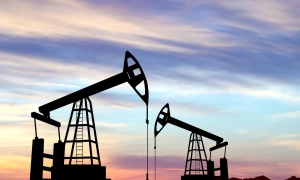 В Ізраїлі сапери врятували черепаху, поранену осколком під час обстрілу